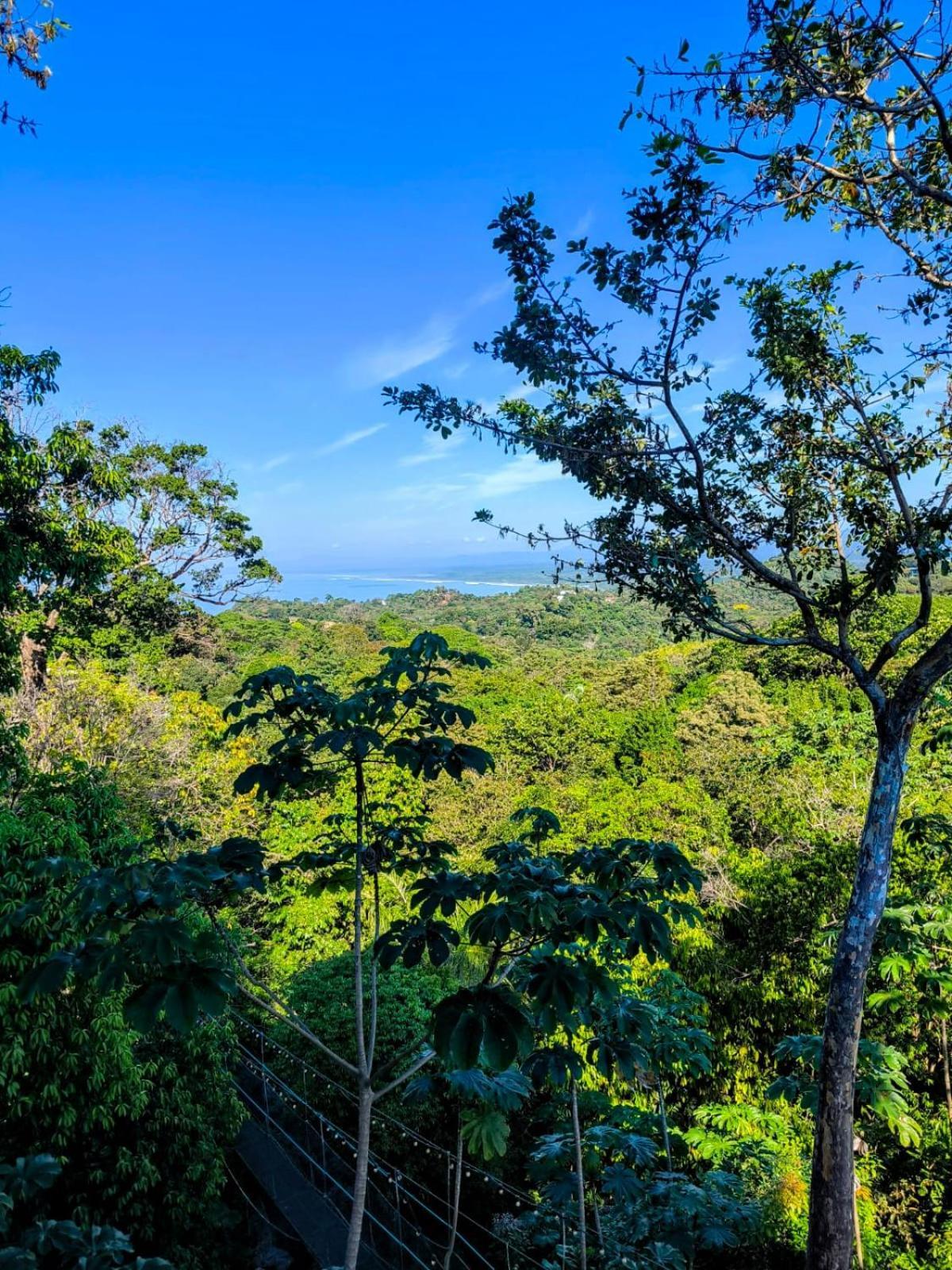 Mountain Top Park Hotel Quepos Eksteriør billede