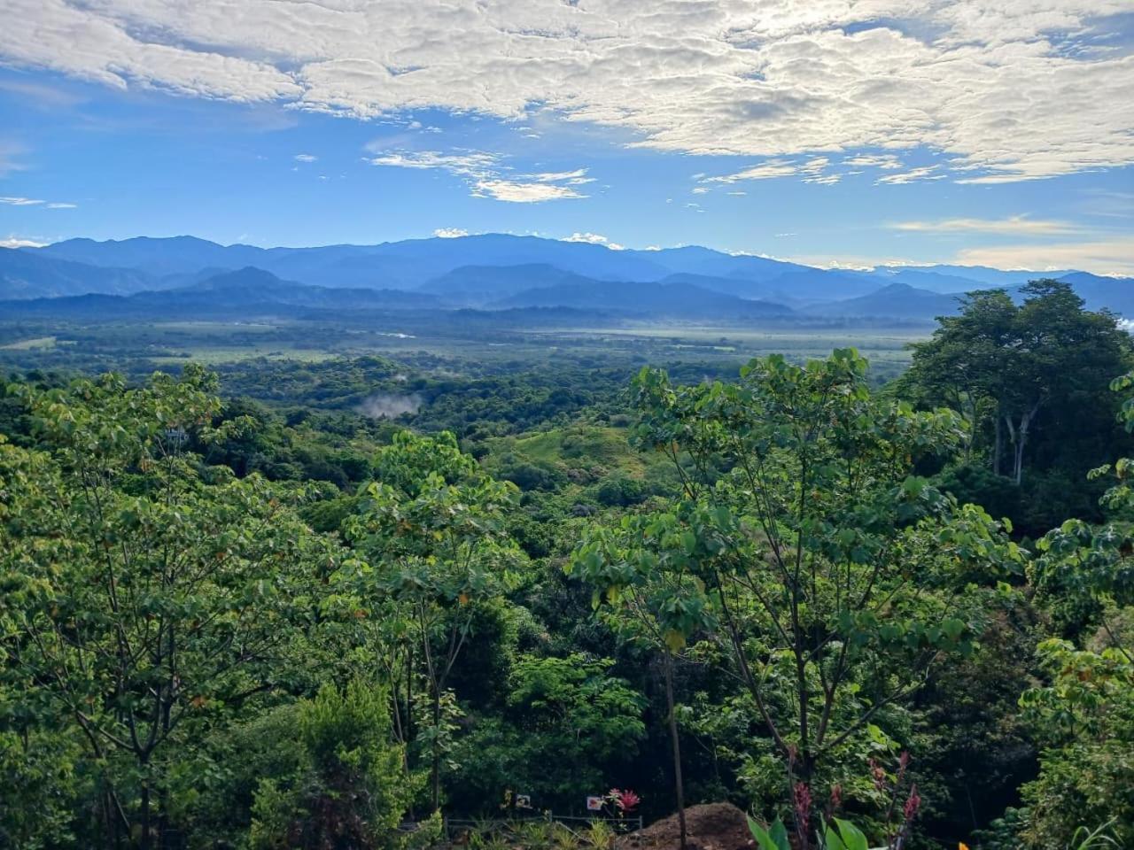 Mountain Top Park Hotel Quepos Eksteriør billede